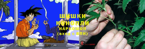 гидра Алексин