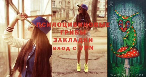 спайс Алексеевка
