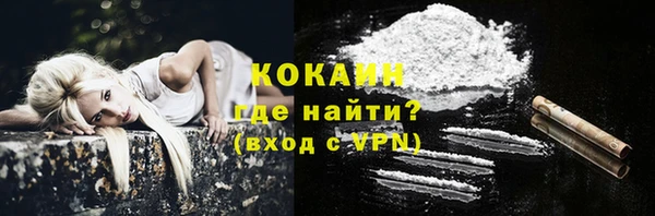 гидра Алексин
